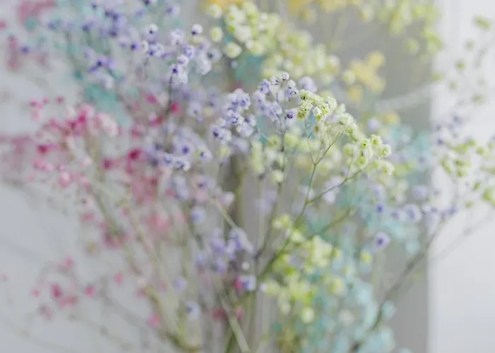 Silver By Kramm - W Hotelowym Wydaniu 4* 포즈난